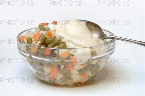 Ingredients for Russian salad and spoon with mayonnaise