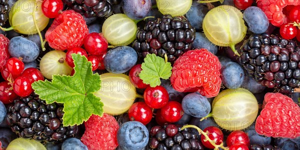 Berries Fruits Berry Fruit like Strawberries Strawberry Fresh Blueberries Blueberry from above Panorama