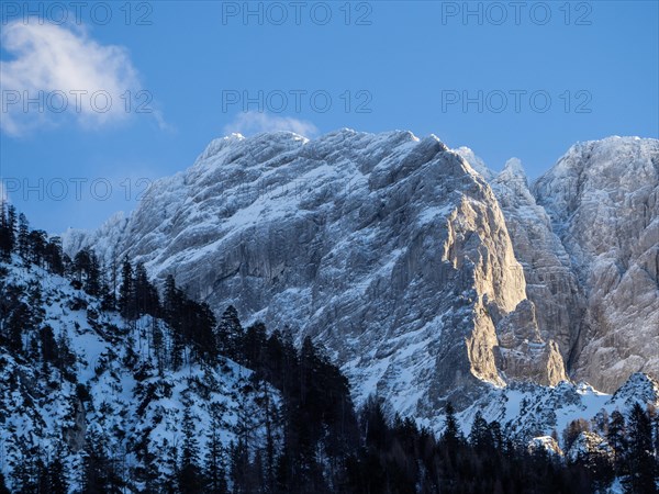 Winter landscape