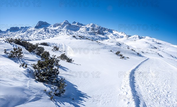 Winter landscape in the snowy Alps