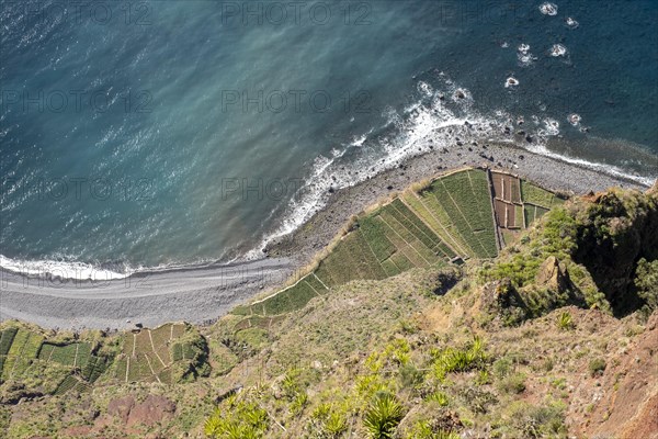 View from Cabo Girao