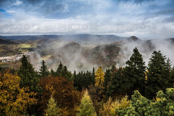 Autumnal coloured forest and mountains