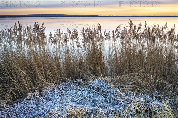 Winter atmosphere on the shore of Lake Duemmer