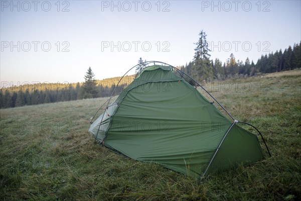 Green tent on a forest meadow in the morning light