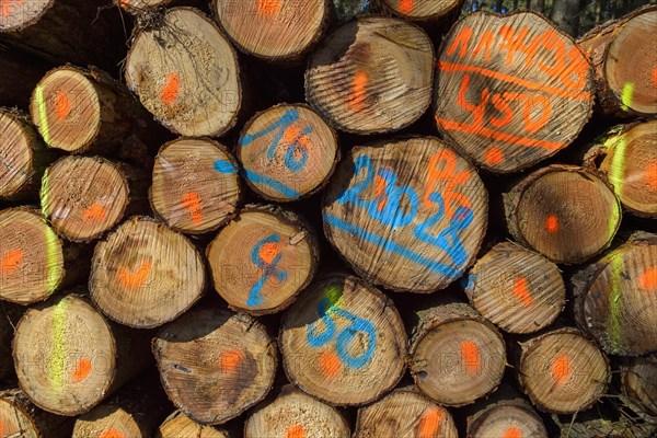 Firewood Stack with Colored Markers