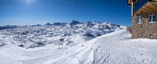 Winter landscape