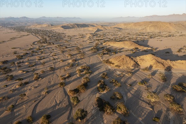 The dry bed of the Aba-Huab river shortly before its confluence with the Huab river