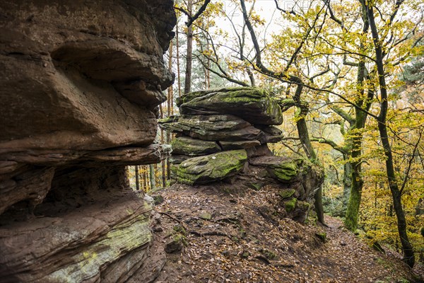 Autumn-coloured forest and sandstone rocks