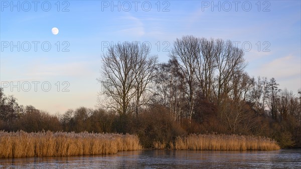 Moonrise in winter landscape on the shore of Lake Duemmer