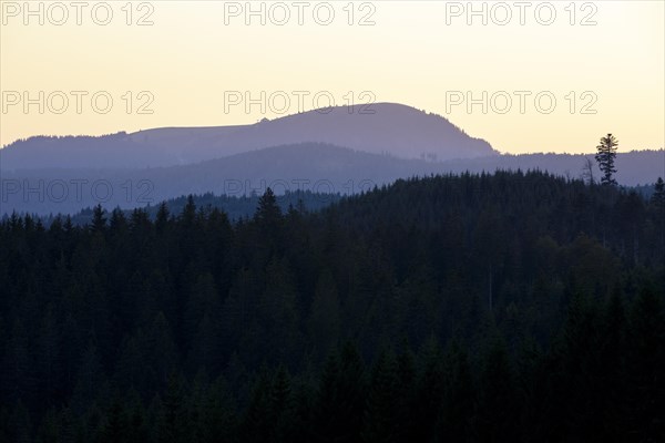View in the morning light of the Belchen in the Black Forest