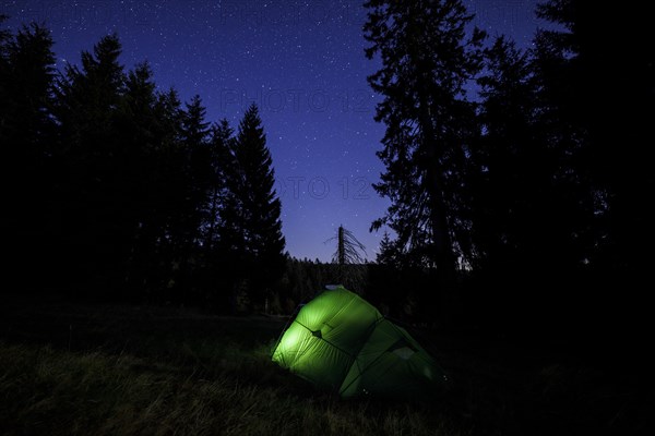 Illuminated green tent at the edge of the forest