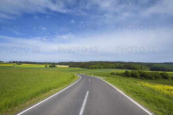 Winding Country Road in Spring