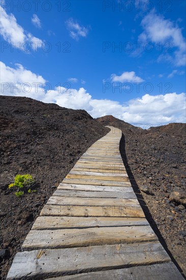 Boardwalk through lava rock landscape