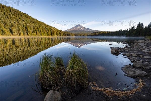 Lake shore