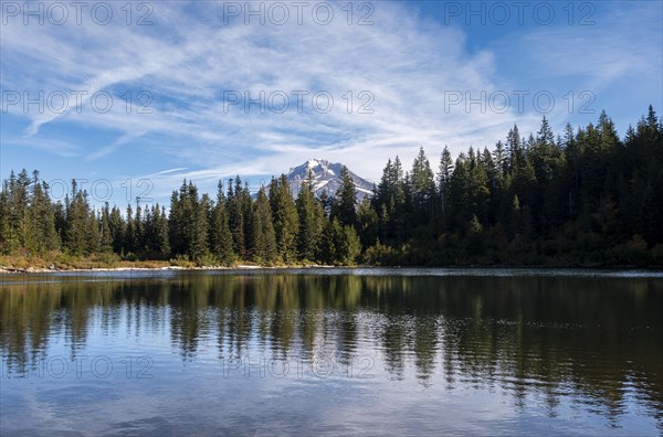 Mirror Lake with forest