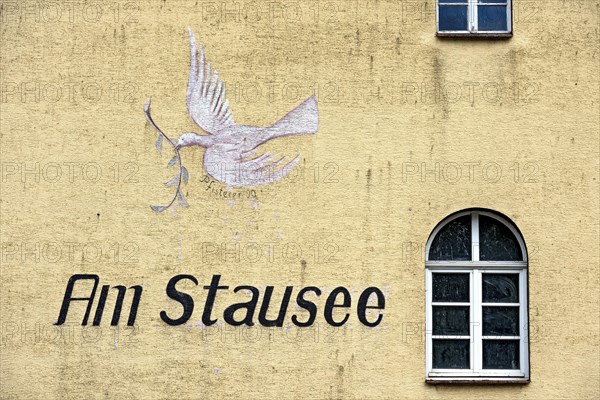 Wall painting of a dove of peace