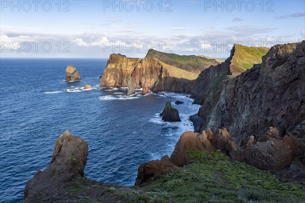 Ponta do Rosto