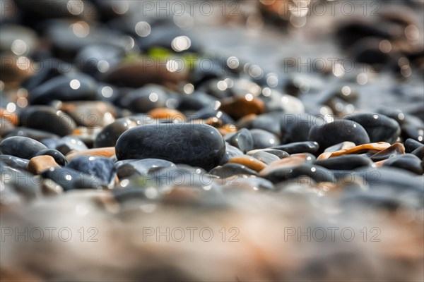 Shiny pebbles on the beach illuminated by the sun