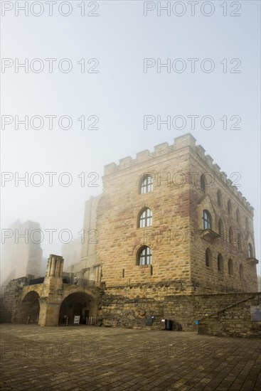 Hambach Castle in the fog