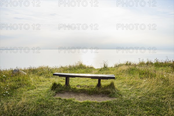 Shoreline with Sun and Bench in Summer