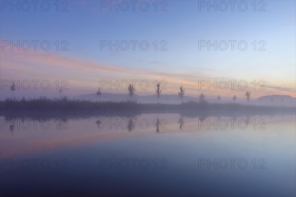 Landscape with Row of Trees Reflecting in Lake at Dawn with Morning Mist