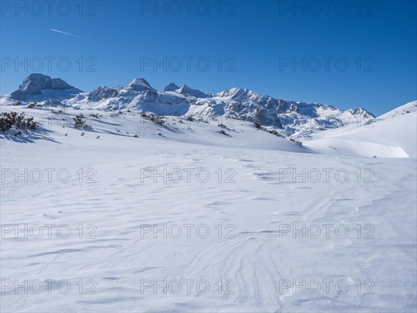 Winter landscape in the snowy Alps