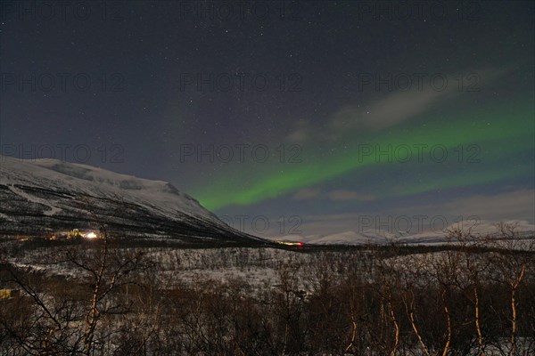 Aurora borealis over snow-covered mountains and birch trees