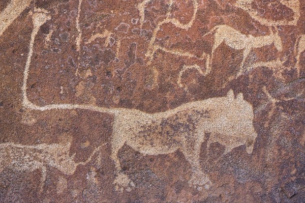 The famous lion panel at the Twyfelfontein rock engravings west of the town of Khorixas