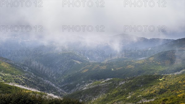 View into green gorge from plateau of Paul da Serra