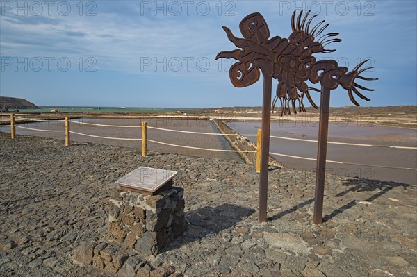 Sea salt extraction