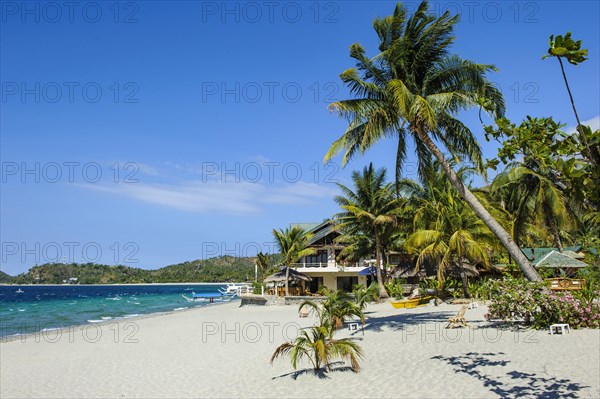 Empty sandy beach without tourists with coconut palm