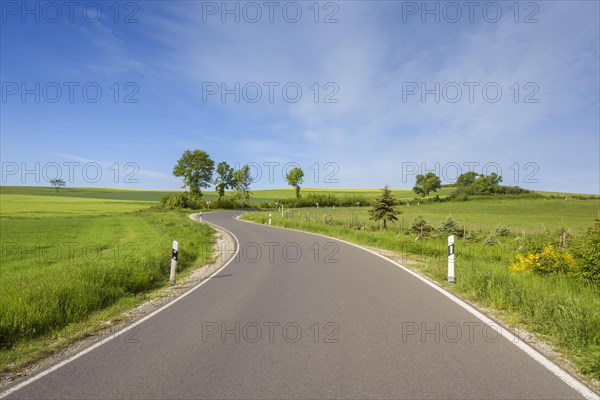 Winding Country Road in Spring