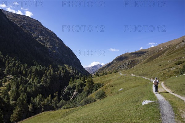 Hikers walking on the alpine pastures in the Rofental