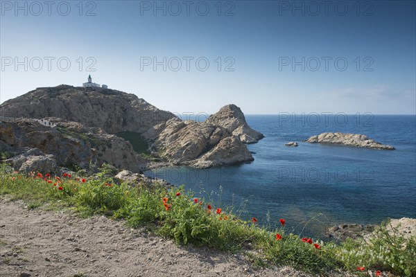 Peninsula with lighthouse