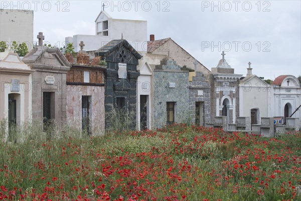Bonifacio Seamen's Cemetery