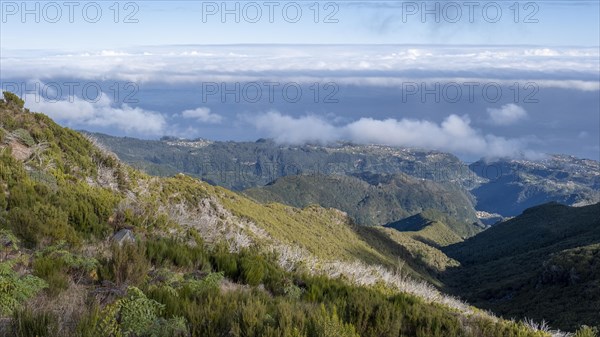 View of north coast near the summit of Pico Ruivo