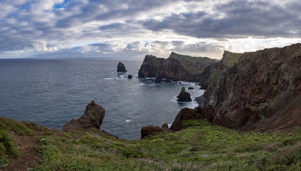 Ponta do Rosto