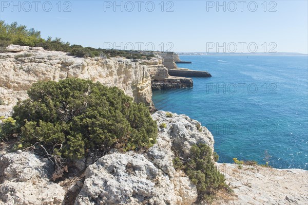 Rock cliff landscape Praia da Albandeira