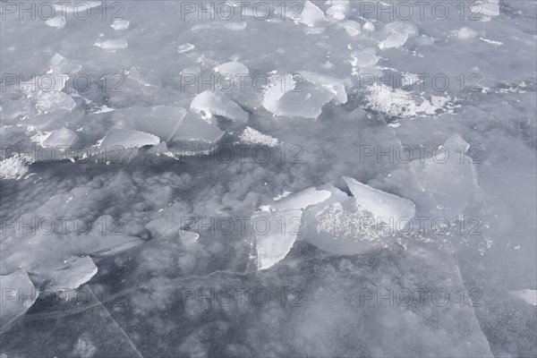 Chunks of ice on a frozen surface