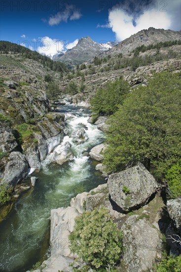 Mountain landscape