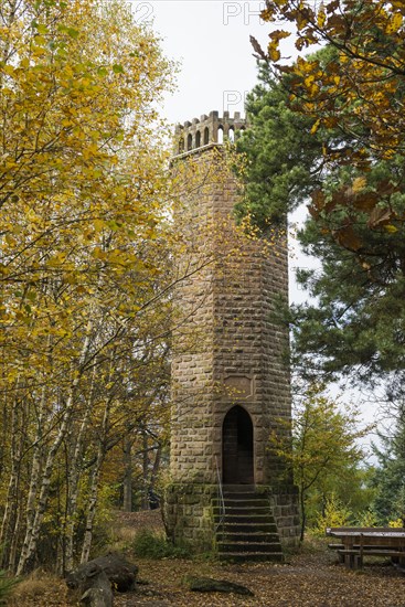 Autumn-coloured forest and observation tower