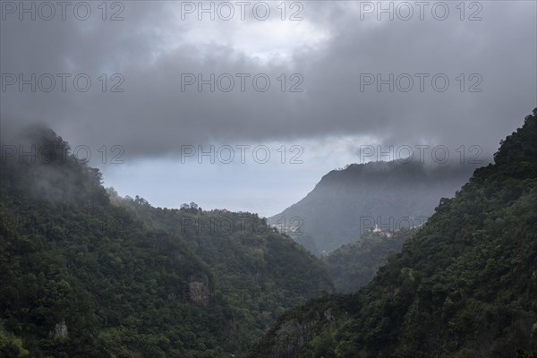 Green gorge with fog near Ribeiro Frio