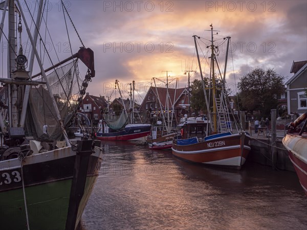 Harbour with crab cutter in the evening at sunset