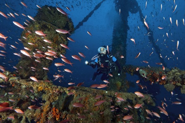 Diver diving above deck of sunken wreck of cargo ship M/V M/N Kent