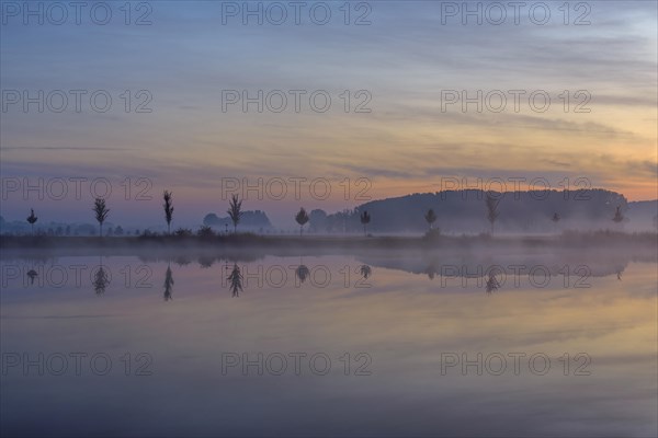 Landscape with Row of Trees Reflecting in Lake at Dawn