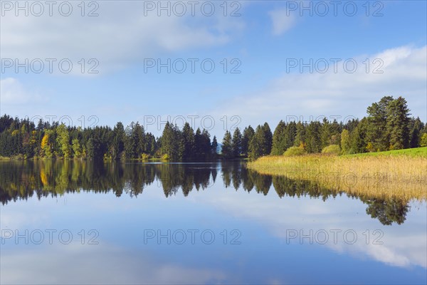 Landscape reflected in lake