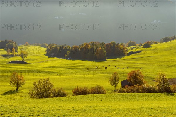 Autumnal mountain landscape