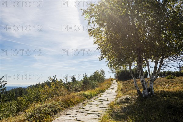 High moor and hiking trail