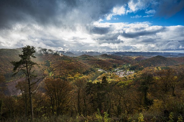 Autumn-coloured forest and mountains