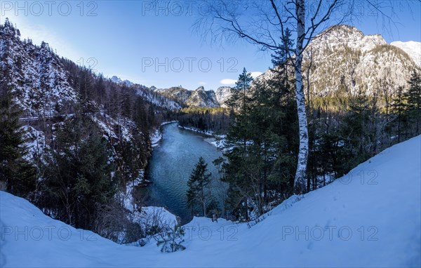 Winter landscape